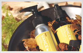 癒しのアロマトリートメント画像