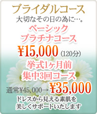 ベーシックプラチナコース/￥15,000